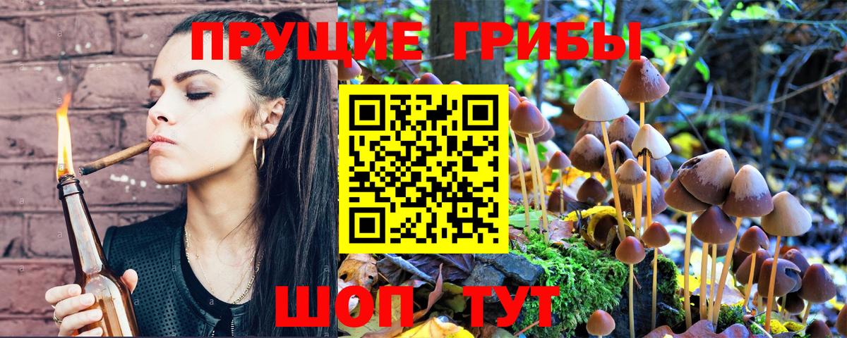 Галлюциногенные грибы Psilocybe  Вход с VPN  Галлюциногенные грибы Psilocybine cubensis  Лянтор 